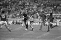France  Euro 1984 Danemark Leroux