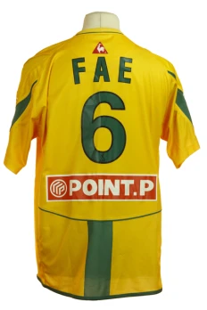 Emerse Fae