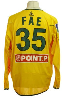 Emerse Fae