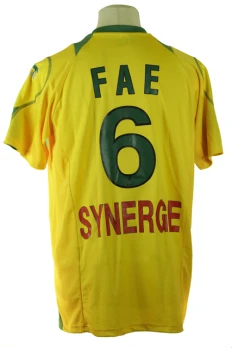 Emerse Fae