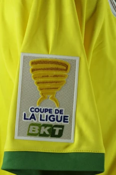 Coupe de la Ligue