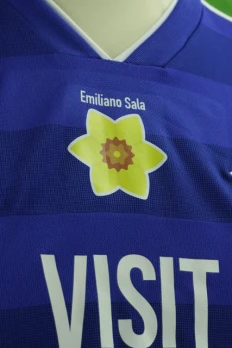 Cardiff City FC