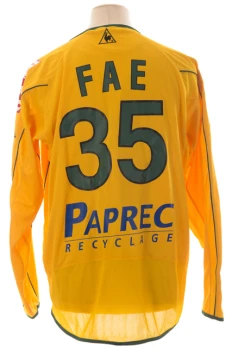 Emerse Fae