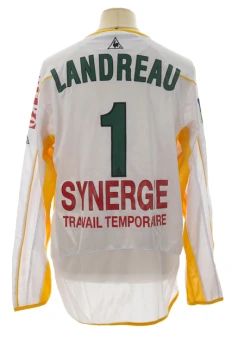 Mickaël Landreau