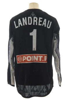 Mickaël Landreau