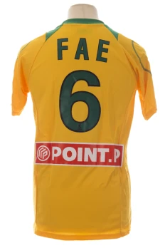 Emerse Fae
